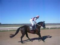 Louth Races coming up!