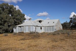 The old shearing shed you can walk to from the campsite.