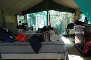 Inside our tent at Mashatu.