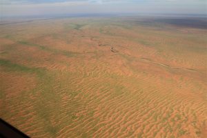 North of Menindee - green striped plains