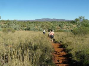 Setting off along the path to one of the waterholes.