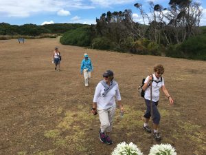 Bushwalking - they've got that covered here. Pip, Judy, Kate and Catherine have just walked 9 kms from the airstrip to the beach house. By choice. Go figure.