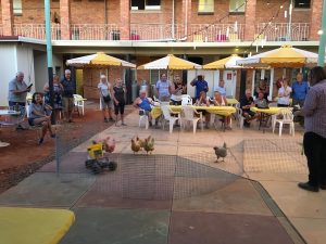 OK, so then wander out to the beer garden at around 5pm. It's time for the nightly chicken races.
