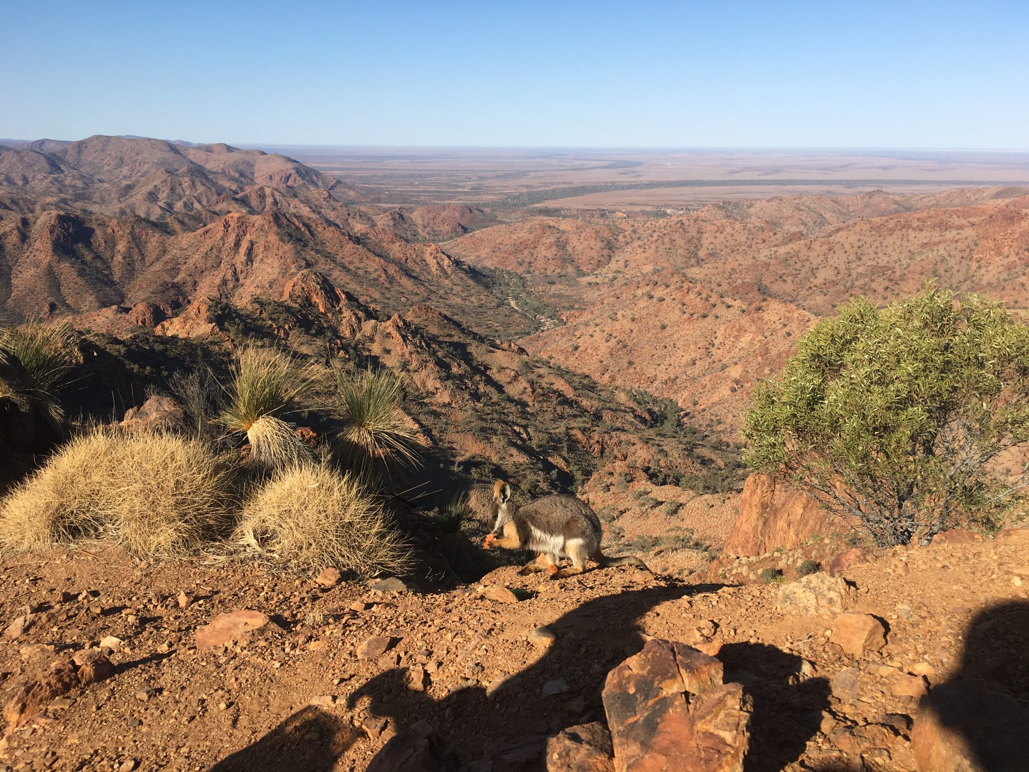 Arkaroola - Flying The Outback